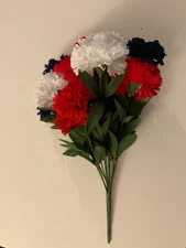 Red White & Blue Carnation 16 inches bush patriotic
