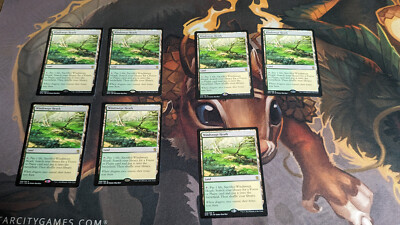 MTG Windswept Heath Khans of Tarkir 248/269 Rare Fetch Land