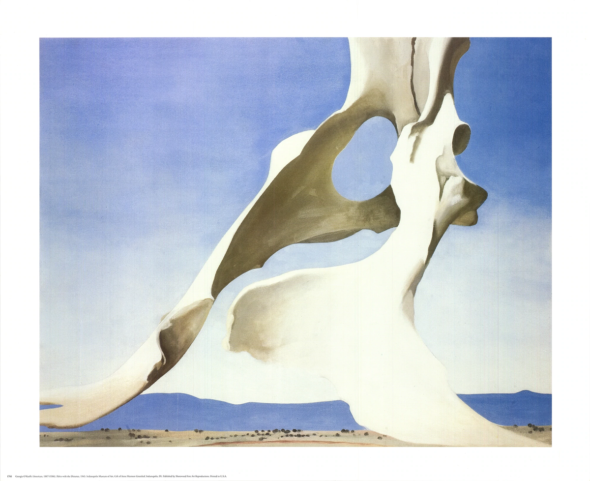 洋書 Georgia O'Keeffe GEORGIA O'KEEFFE Pelvis with the Distance 22