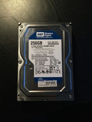 Western Digital 250 GB SATA-Festplatte WD2500AAJS; intern, 3,5 ''