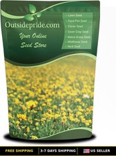 Perennial Birdsfoot Trefoil Seeds - 1 lb Nitrocoated & Inoculated Non-GMO 26.58 per gallon