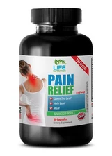 pain relief supplements - PREMIUM PAIN RELIEF FORMULA 610MG 1B - msm joint suppo