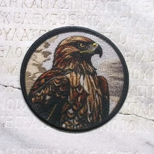 Red Tail Hawk Applique Patch - Talons, Majestic Bird Badge 3.5" (Iron on)
