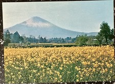 Cartolina Fuji / 10 / Giappone / anni 70 24