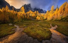 Landscape fall trees nature outdoors Custom Gaming Mat Desk