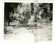 Vintage 8x10 Rare Production Photo King of the Jungle (1933 film) Buster Crabbe