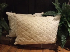 Vintage EDDIE BAUER Soft Density Quilted FEATHER DOWN PILLOW🪶Standard 20” x 26”