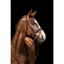HKM Maila Dark Brown Dressage Snaffle Bridle