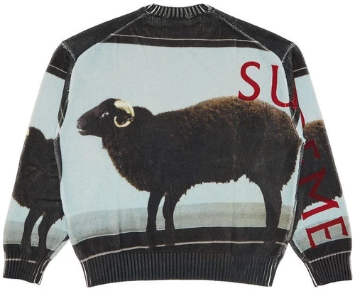Pull Supreme/Damien Hirst, mouton noir, XL