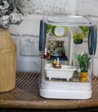 Jumping Spider Enclosure, Insect Terrarium, Bug Enclosure, Spider Cage, Jumping