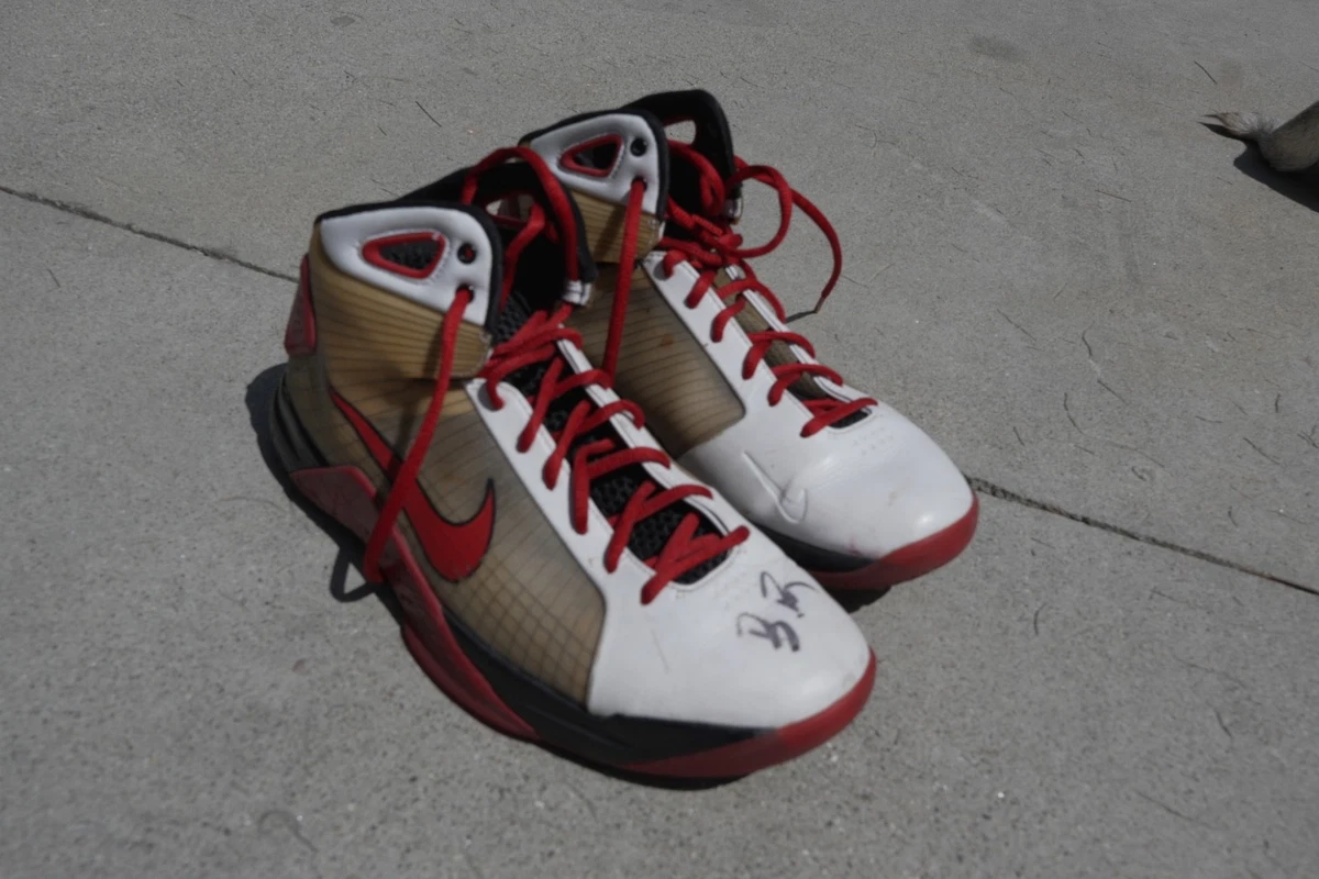 nike brandon roy products for sale | eBay display picture 2