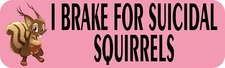 10x3 Pink I Brake for Suicidal Squirrels Sticker Car Truck Vehicle Bumper Decal
