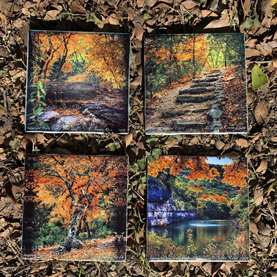 Lost Maples - Ceramic Tile Set with Cork