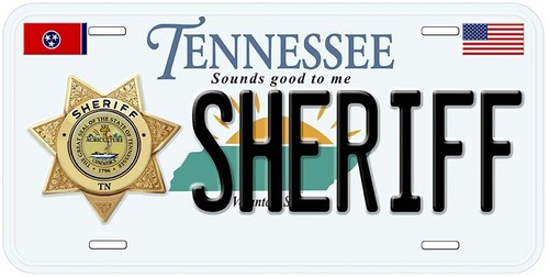 Placa de matrícula de coche Sheriff Star cualquier estado personalizada novedad - Imagen 46 de 54