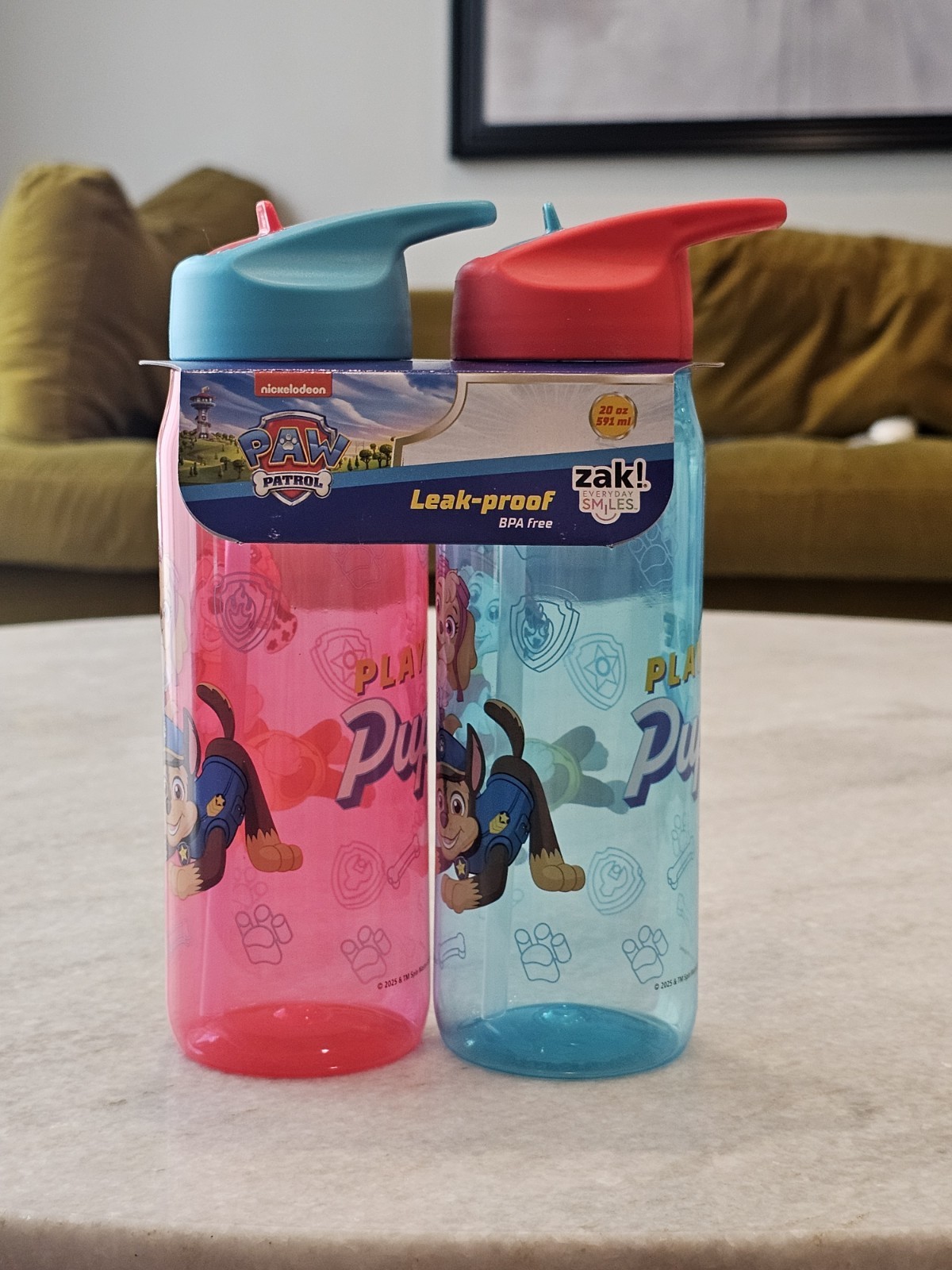 Zak Designs 20oz Paw Patrol Kids Straw Water Bottle, Durable