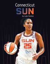 Connecticut Sun by Luke Hanlon Hardcover Book