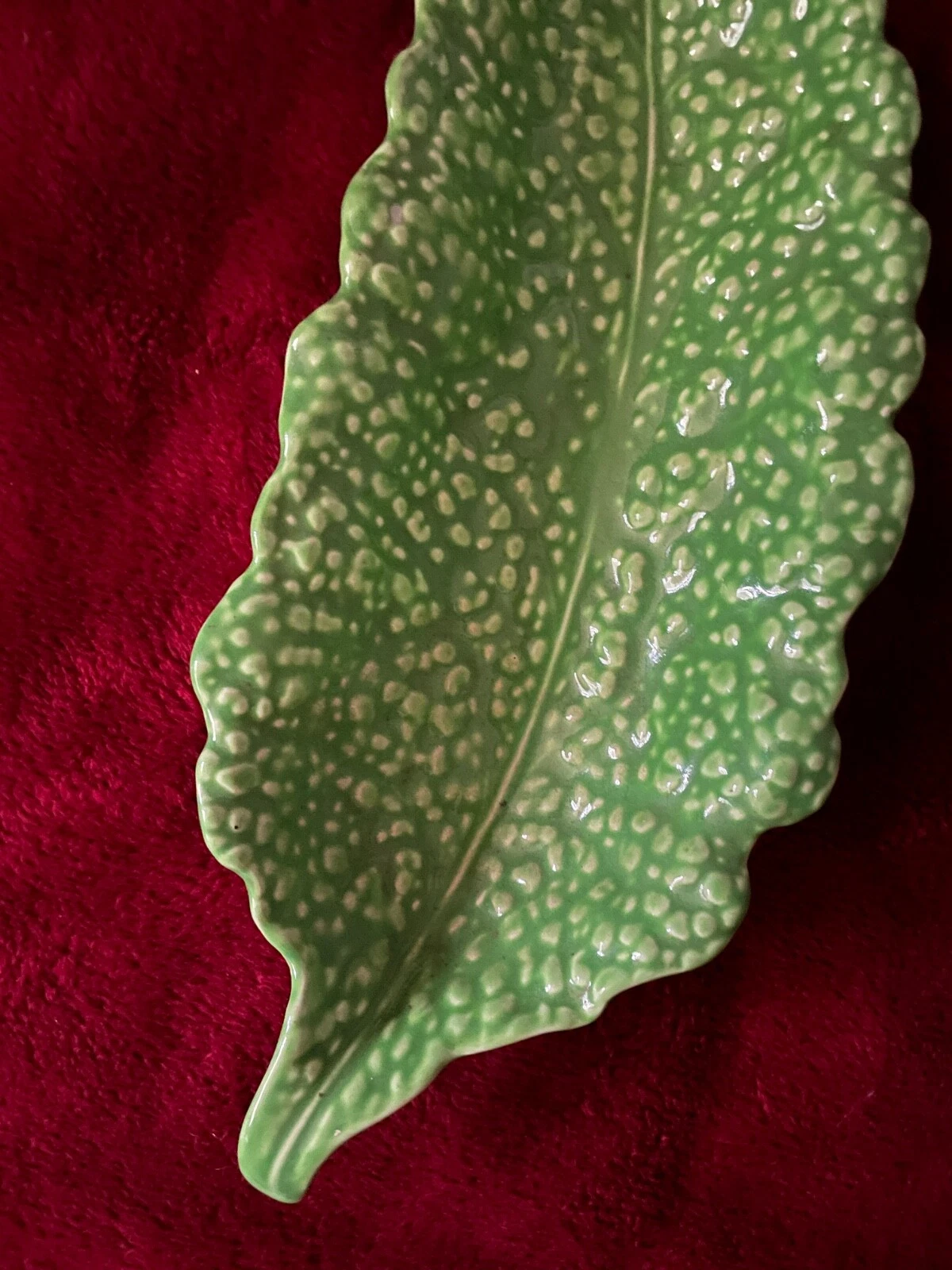 Picture 6 of 6