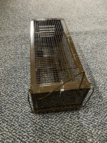 Mouse Trapped