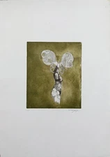 Godwin Ekhard - Acquaforte originale numerata e firmata