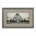 Uttermost Nature Framed Home Décor Posters & Prints