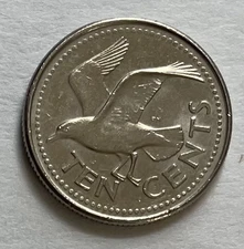 Barbados 10 Cents 1998 - Laughing Gull (Leucophaeus atricilla) bird