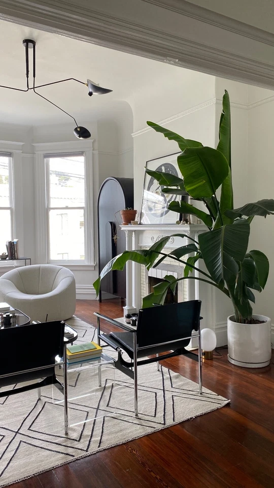 Alfombra y alfombra para el hogar ABC Foto 4 de 4