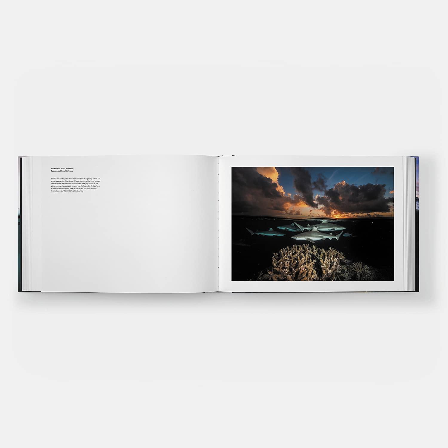 Thumbnail - Two Worlds David Doubilet