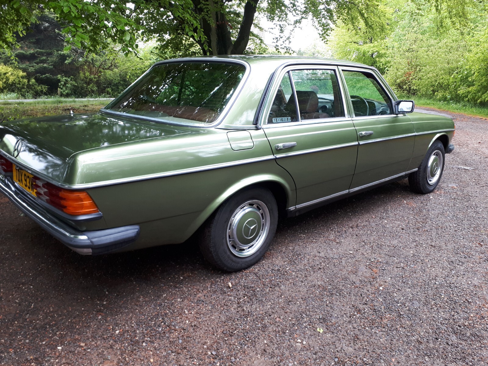 1985 B reg Mercedes Benz 230E w123 CYPRESS GREEN AUTOMATIC Classic