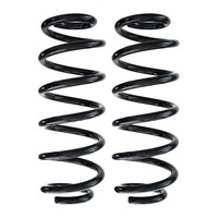 Fahrwerksfedern-Set Hinterachse Schraubenfeder Ø110Mm Spidan FüR VW Golf