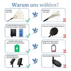 Bild 10 von 11