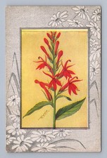 Antigua ilustración botánica de flor de cardenal Lobelia Cardinalis