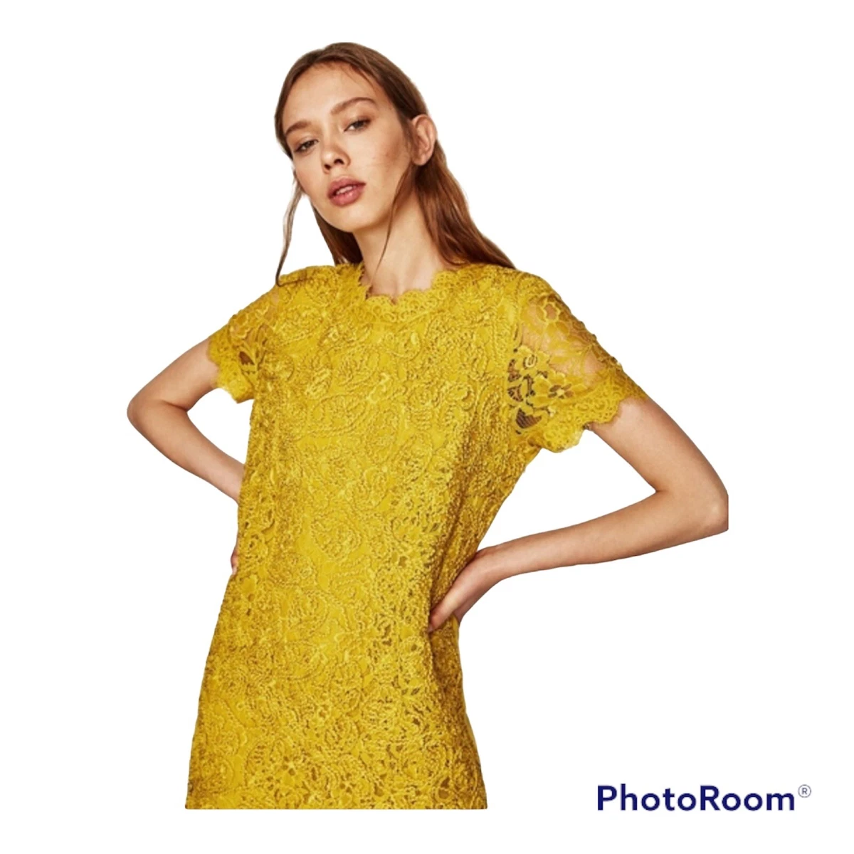 Zara Trafaluc Mustard Yellow Short Sleeve Lace mini Shift Dress Medium