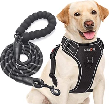 No Pull Harness with a Free Heavy Duty 5Ft Leash for Medium Large Dog Adjustable