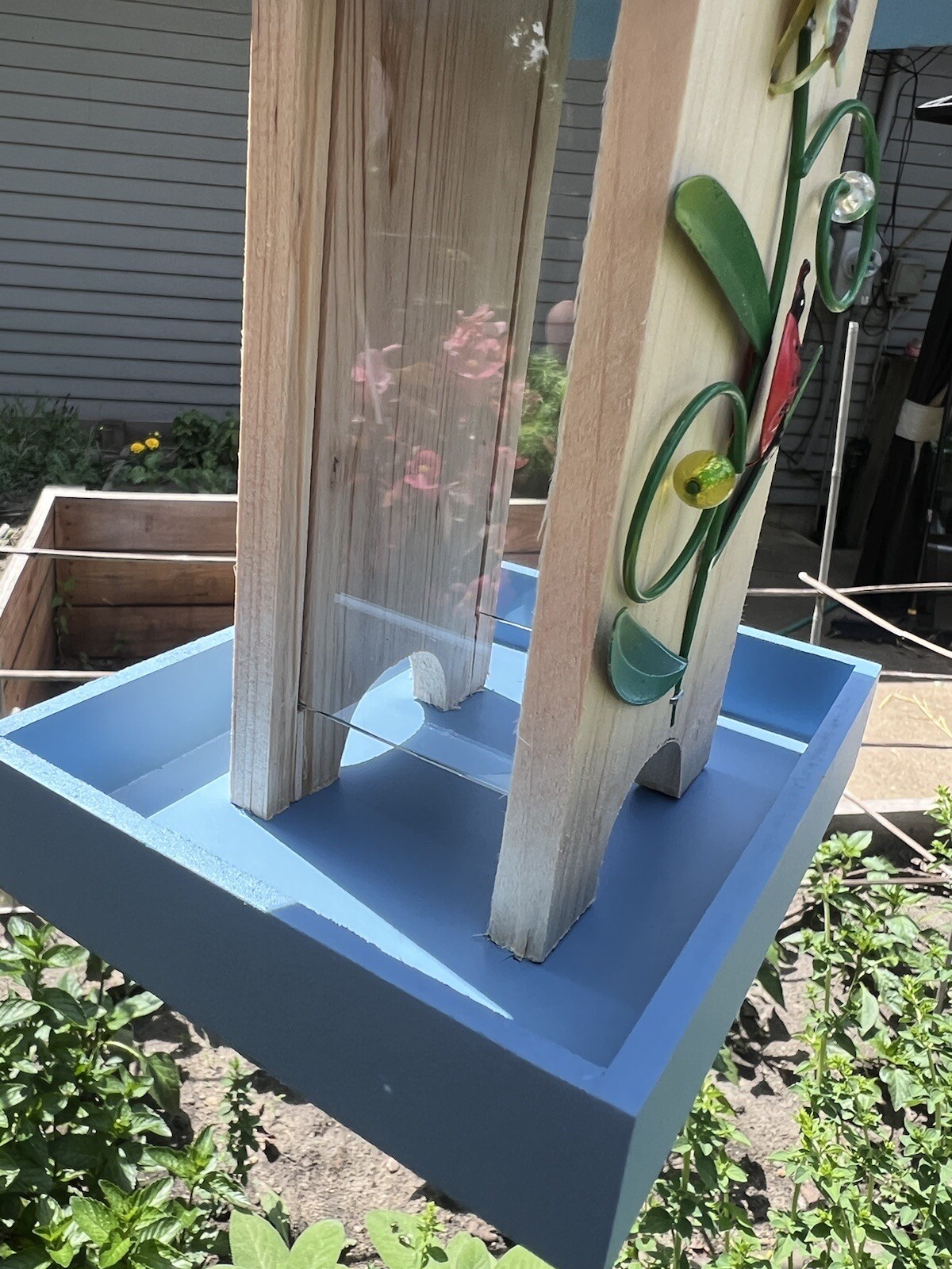 Picture 5 of 20