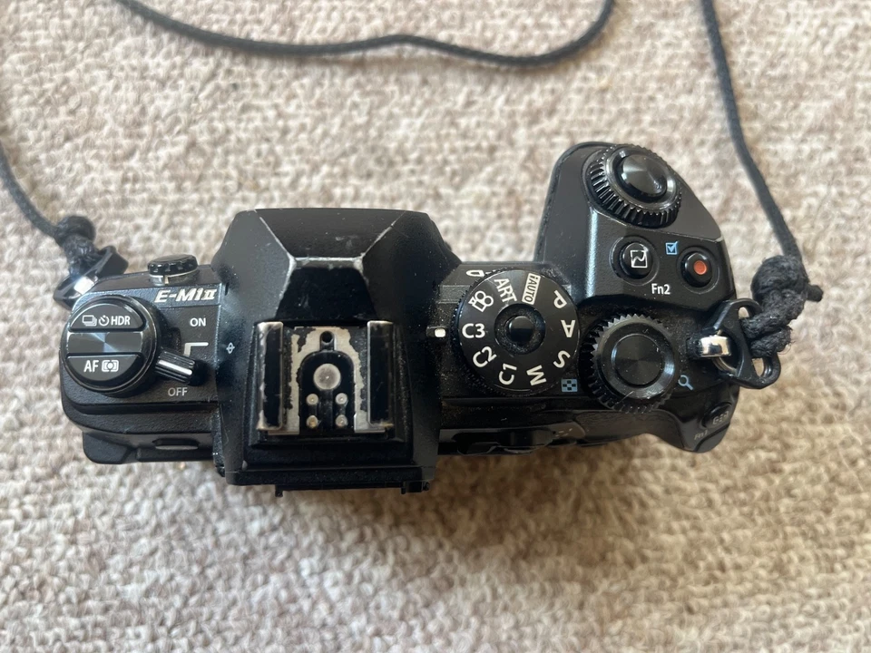 Olympus OM-D E-M1 Mark II, photo 3 of 5