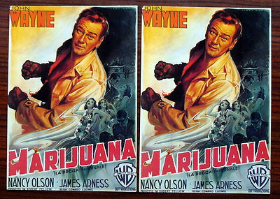 Tableau Ancien Affiche De Cinéma Scène d'Effroi Enlèvement V