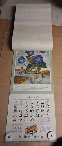 1947 Morrell Schinken Werbekalender Blumen unseres Landes komplett unbenutzt Rarität - Bild 10 von 24