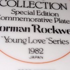 Norman Rockwell YOUNG LOVE SERIES 1982 Plate CW Collection Young Couple — photo 5
