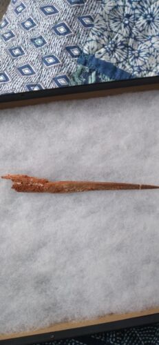 Rare Cretaceous Pterosaur (Apatorhamphus) beak tip fossil - Kem Kem, Morocco - Picture 3 of 8