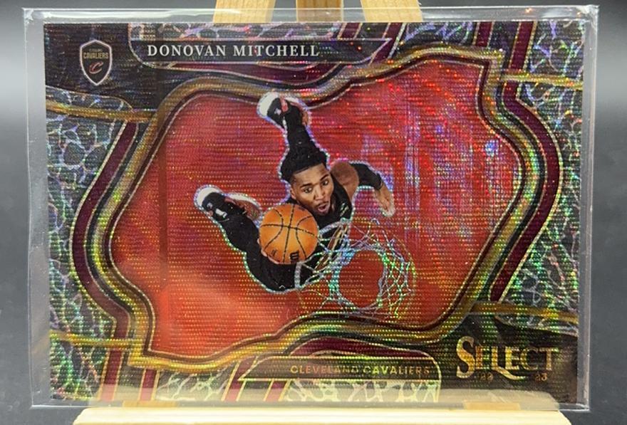 2022-23 Panini Select Donovan Mitchell Courtside Elephant SSP