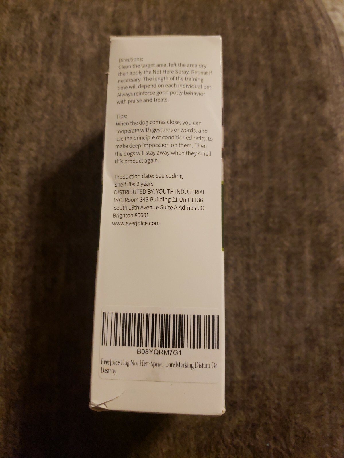 everjoice dog not here