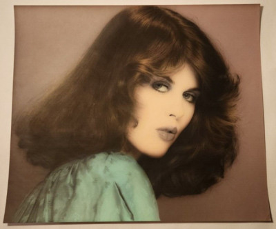 c. 1979 ORIGINAL DAVID GOLDNER HAND COLORED PHOTOGRAPH #3 | eBay