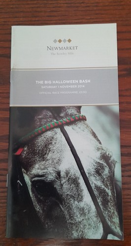 NEWMARKET RACE CARDS OCTOBER 31ST & NOV 1ST 2014 - BIG HALLOWEEN BASH BOTH DAYS - Picture 12 of 23