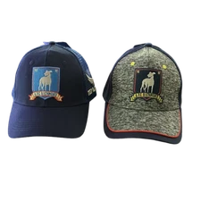 Ted Lasso AFC Richmond Adjustable Snap Back Trucker Baseball Cap Hat Soccer