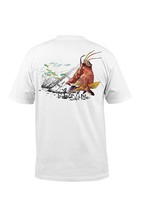 Salt Life Short Sleeve Hogfish Wreck Graphic , Size Small, White, Salt Life Short Sleeve Hogfish Wreck Graphic , Size Small, White,