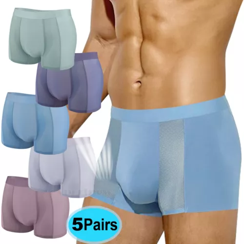 Herren 5 Stück Trunks Unterwäsche Sexy Mesh Boxershorts Schnelltrocknend Ohne Etikett Unterhosen - Bild 1 von 16