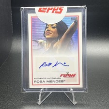 2013 Topps WWE Wrestling Cards 19