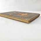 Picture 4 of 7