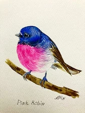 Bird Scarlet Pink Robin Watercolor Original Painting