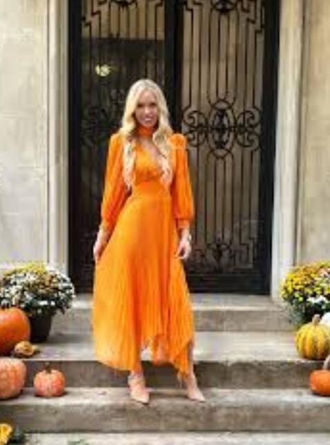 アリスオリビア Sion フローラル フェミニン プリーツ ワンピ Alice+ Olivia Sion Orange Sheer Asymmetrical V Neck Empire